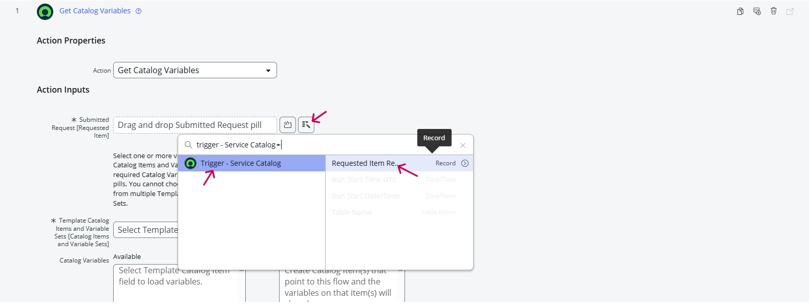 Set Action Inputs